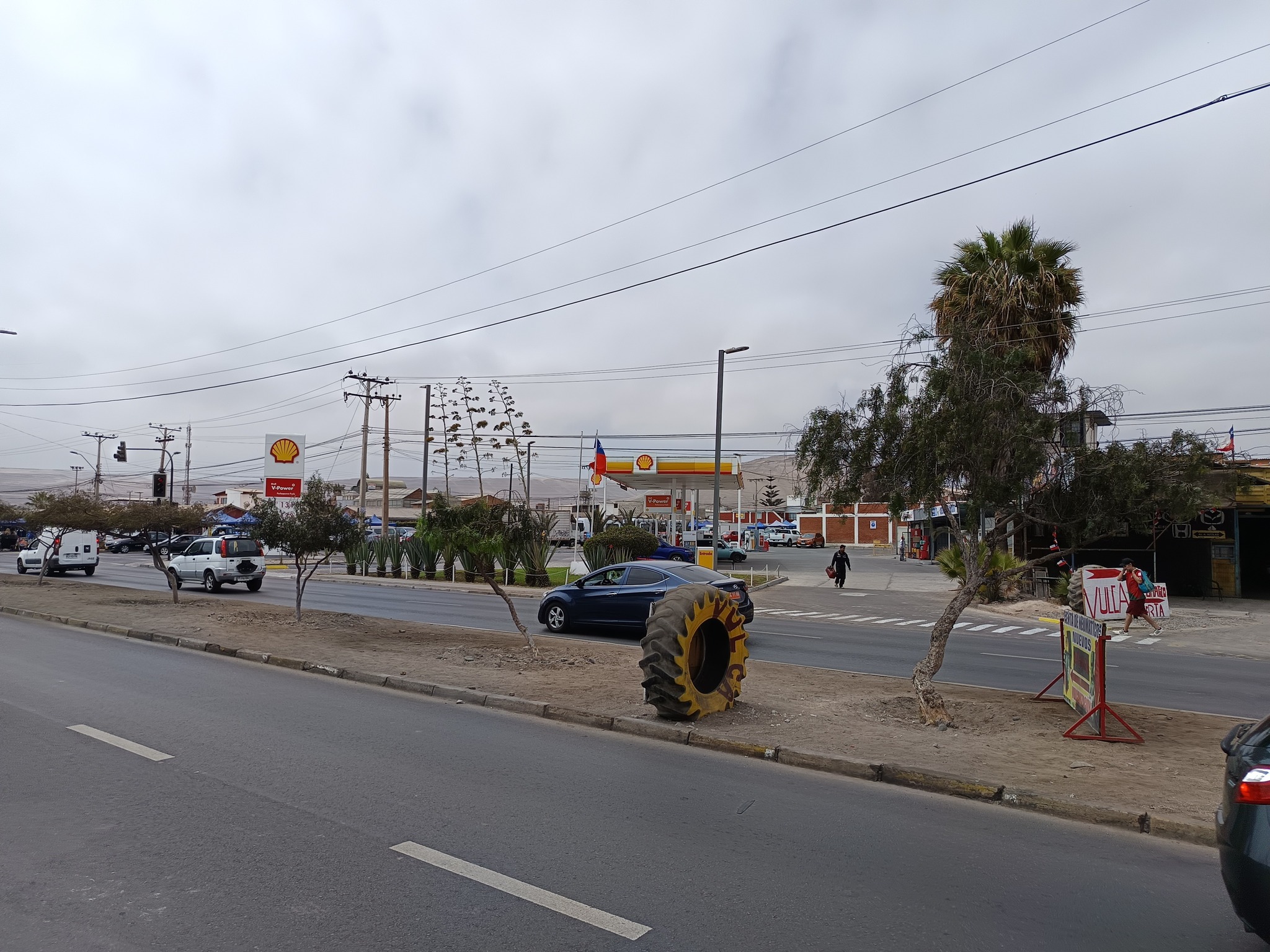 557704481_1313420203909662_1346262738378196934_n