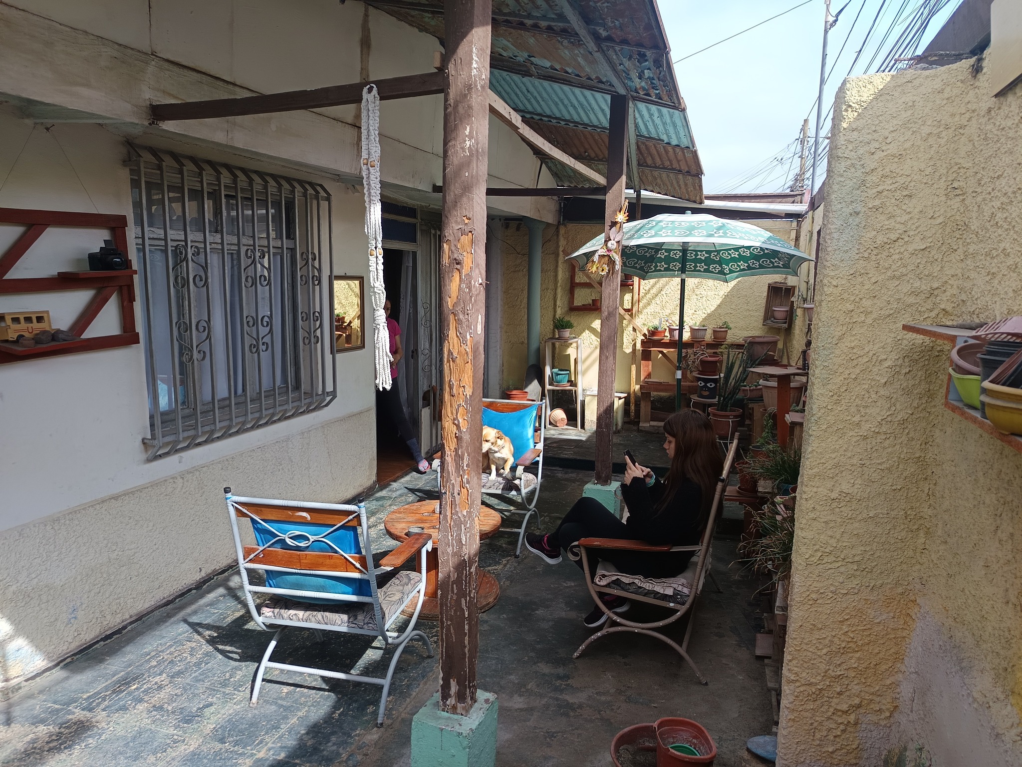 558063859_1313419490576400_4352551698408844811_n