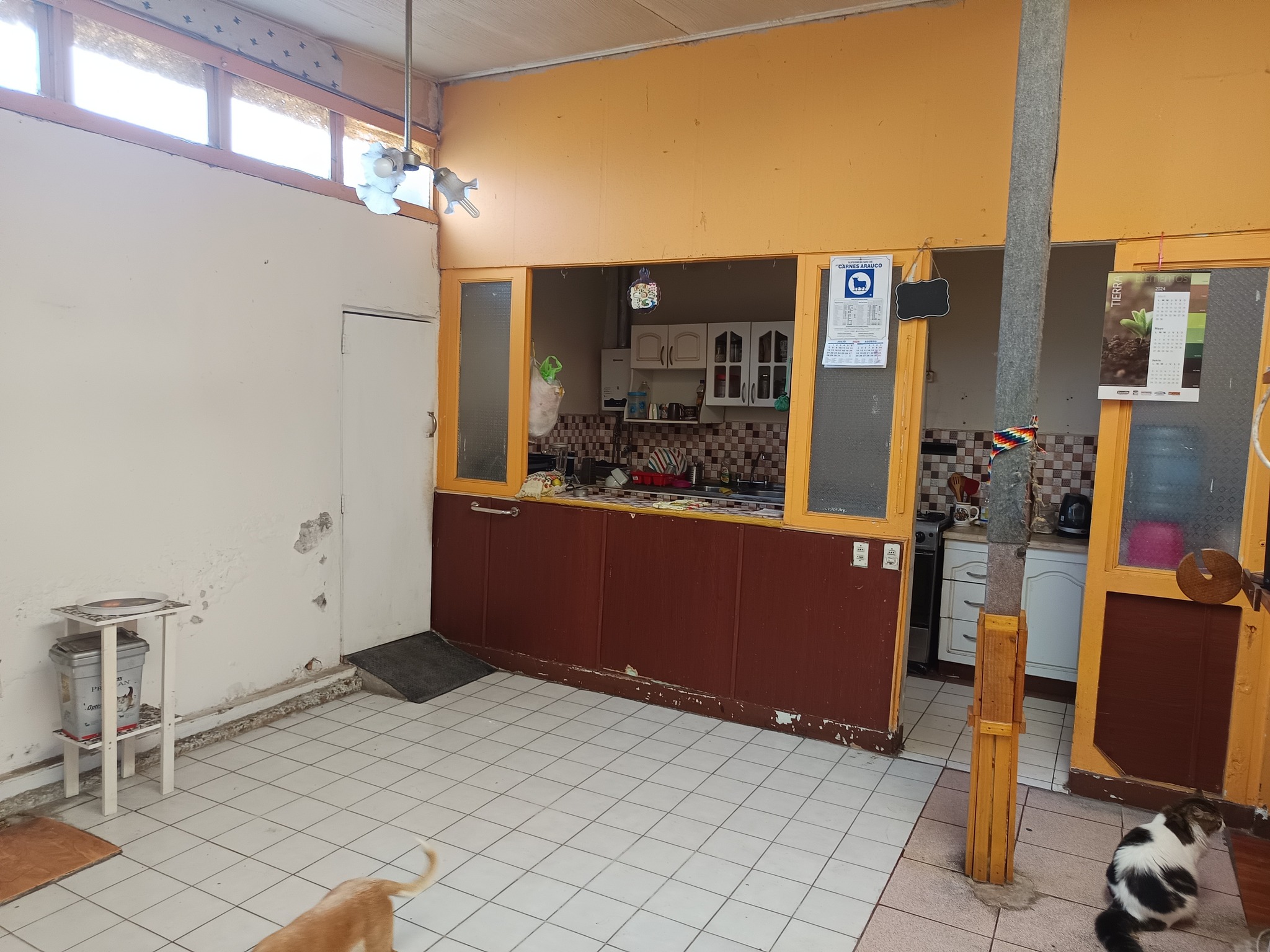 558332186_1313419717243044_5951981370623193112_n