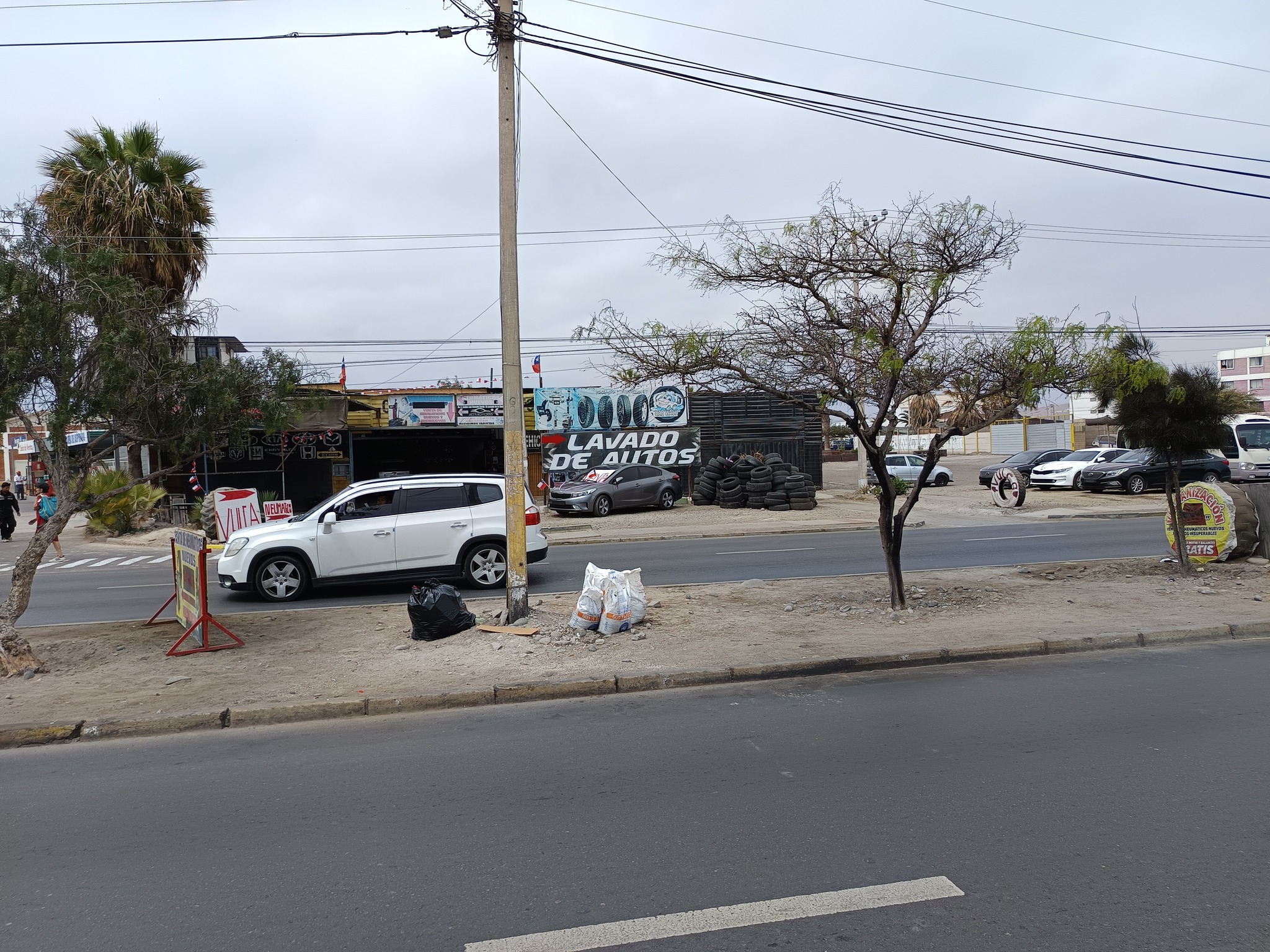 558380435_1313420240576325_3178455146892301307_n