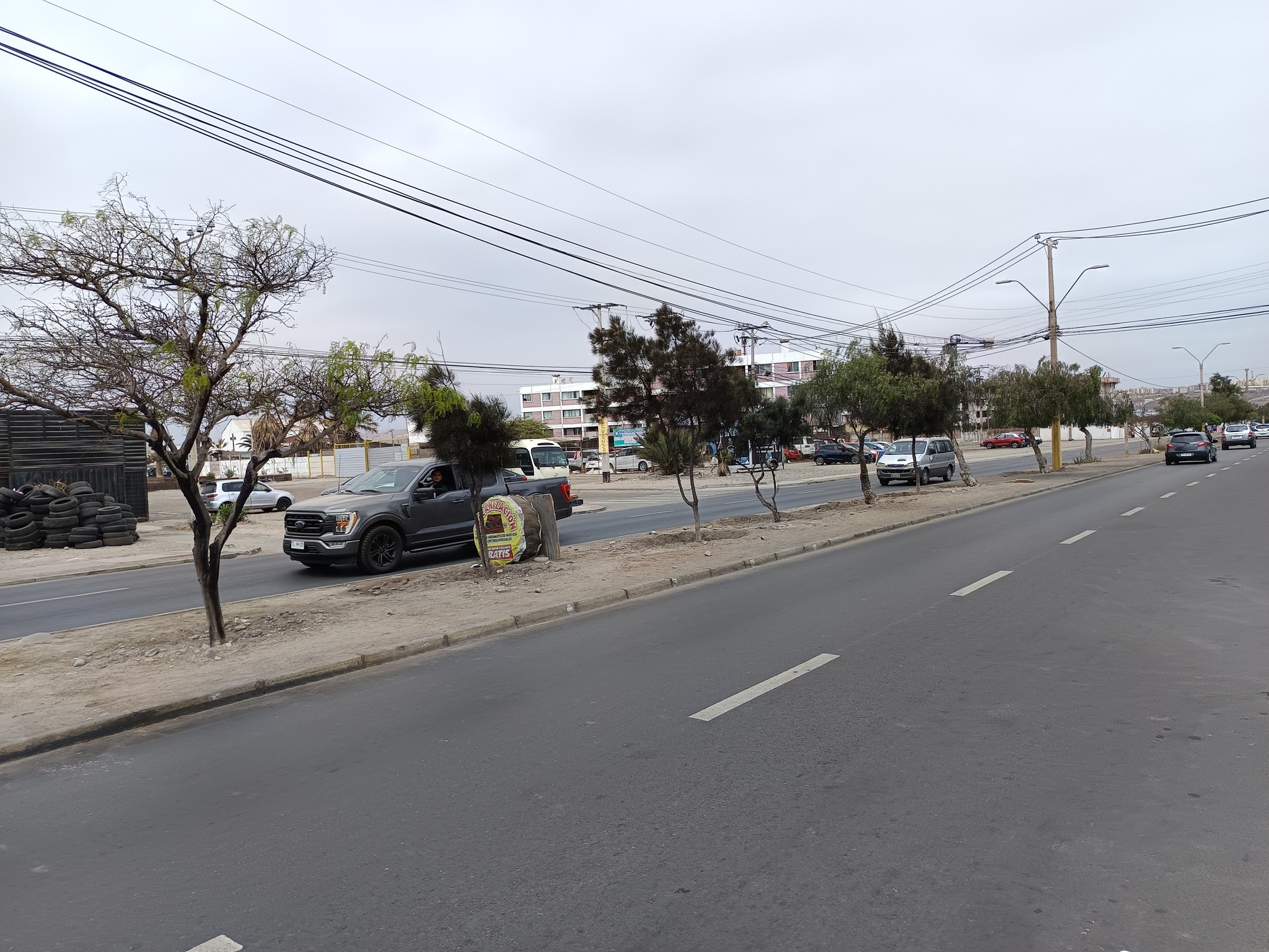 558450361_1313420273909655_4979134675807373911_n