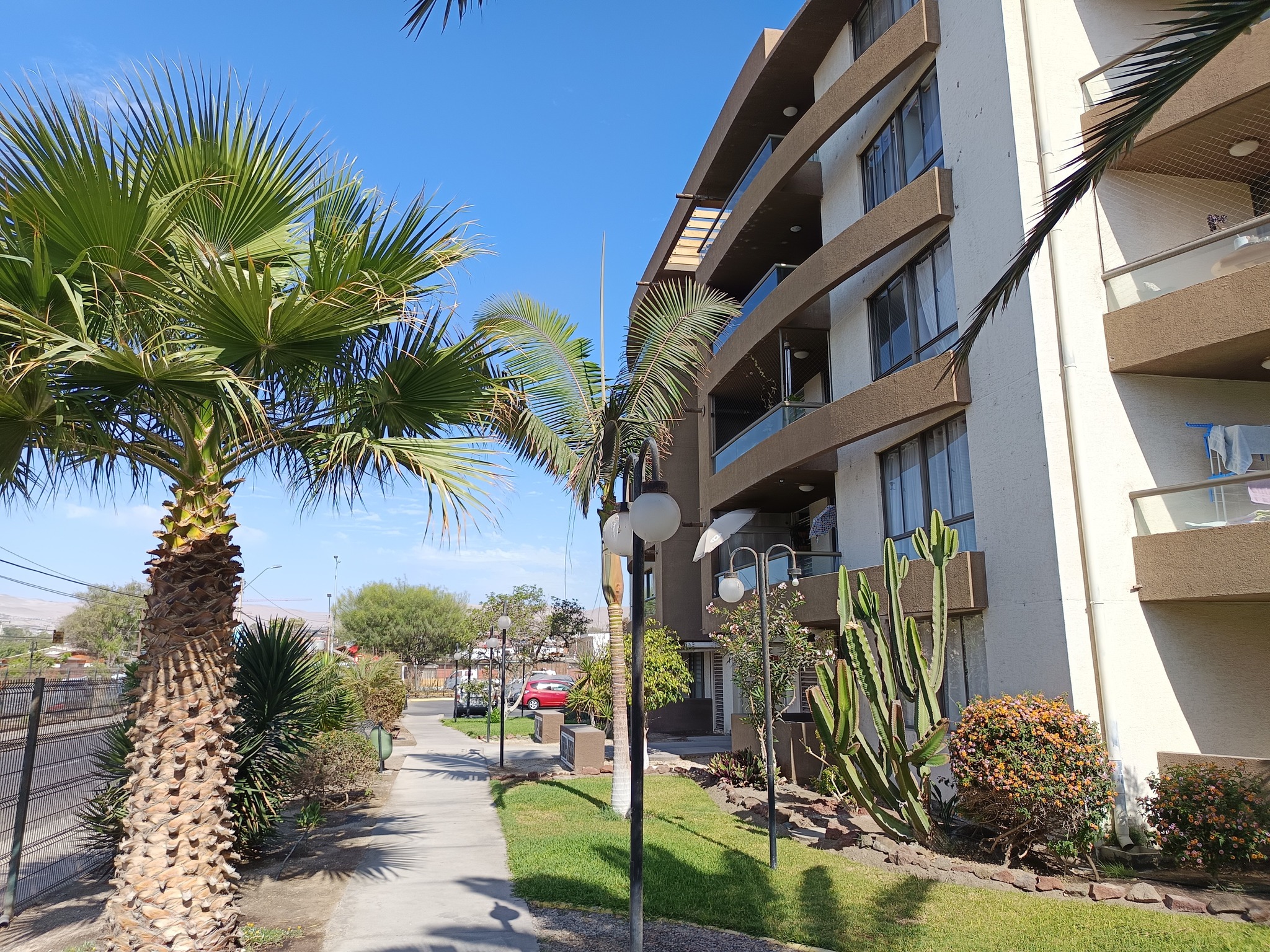 568408115_1327861649132184_3138913332791778003_n