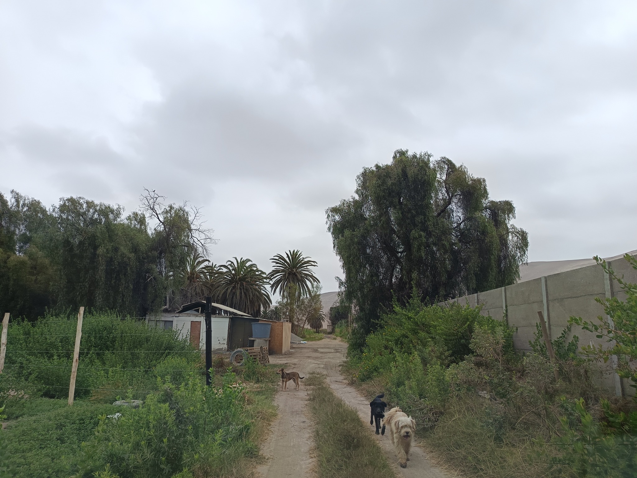 571451142_1335566995028316_8857473021411236308_n