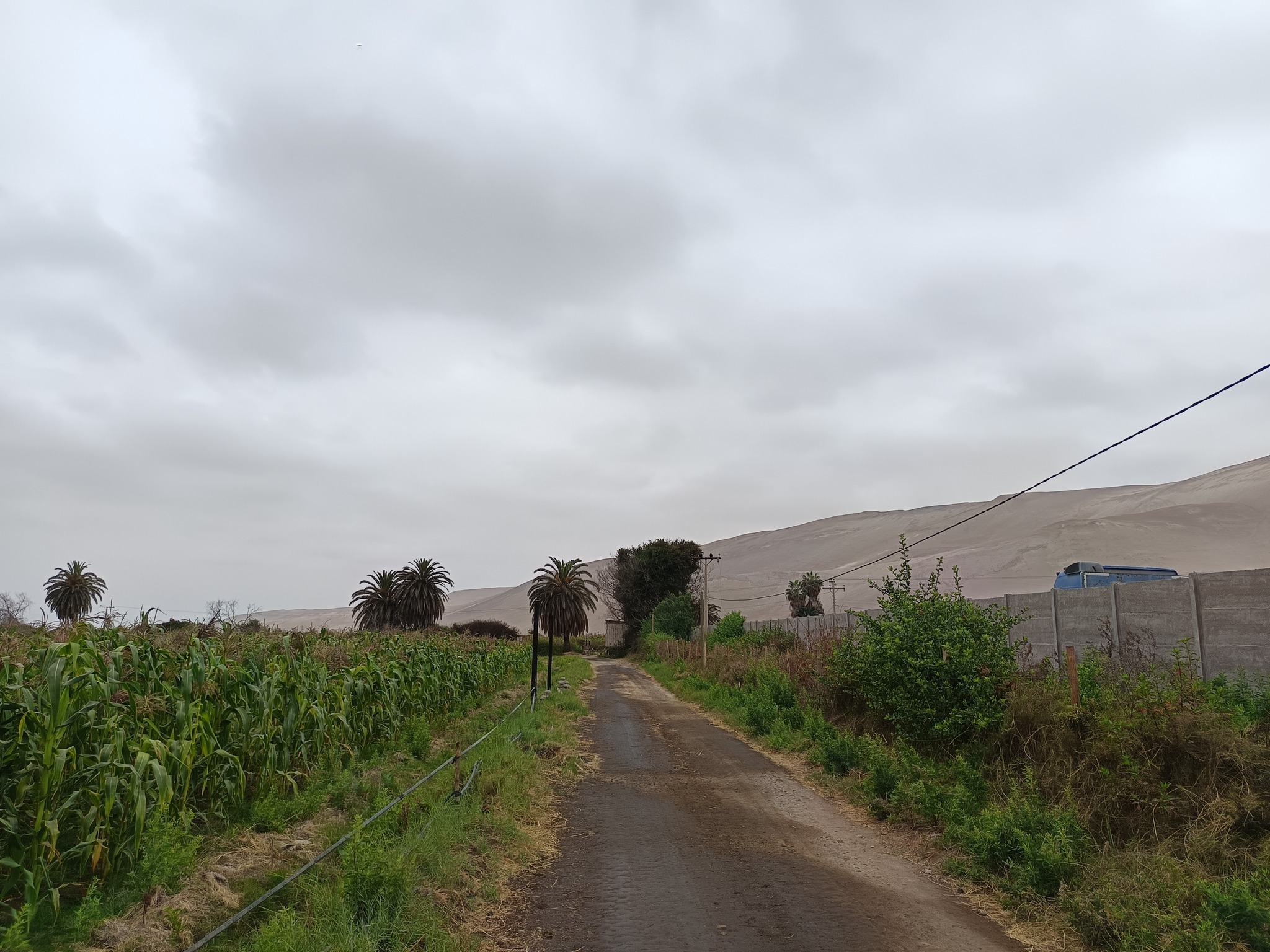 571566466_1335566891694993_4548364491636822707_n