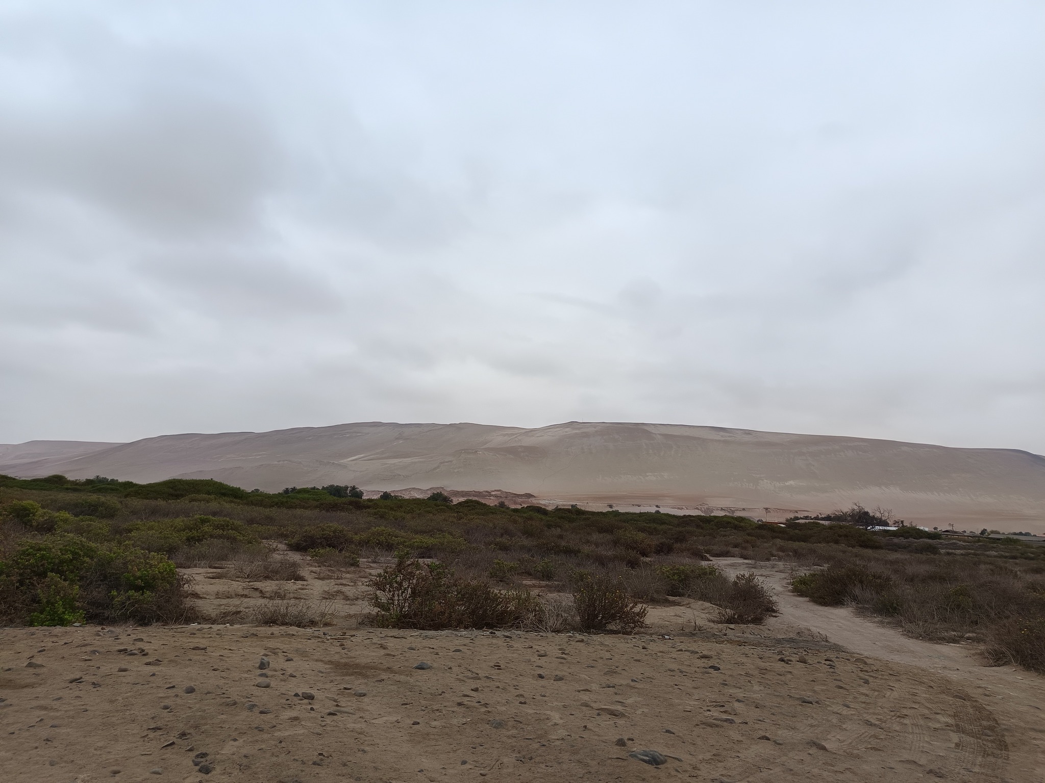 572122112_1335567065028309_5825759749545102459_n