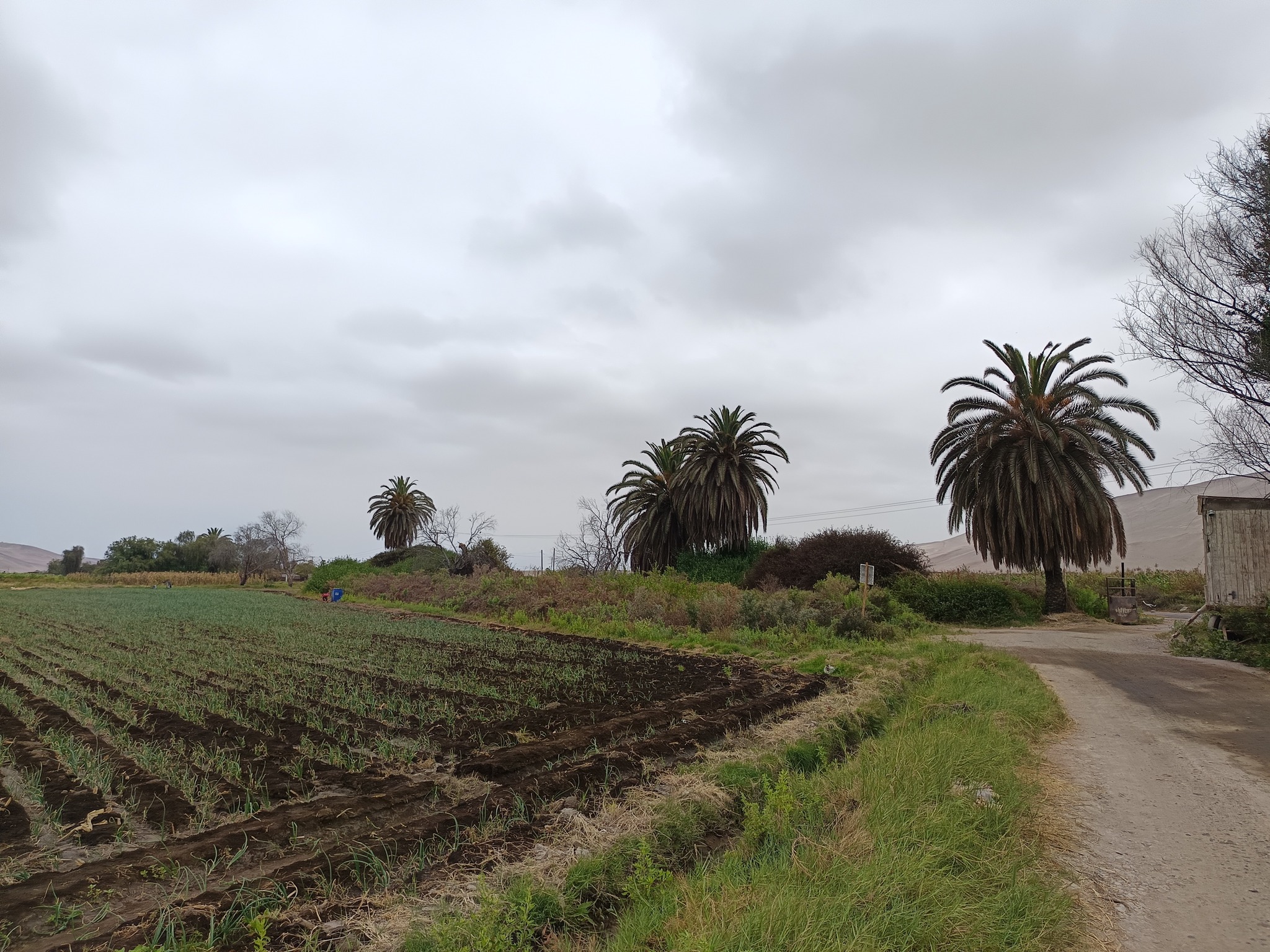 572358908_1335566765028339_9125420891267391188_n