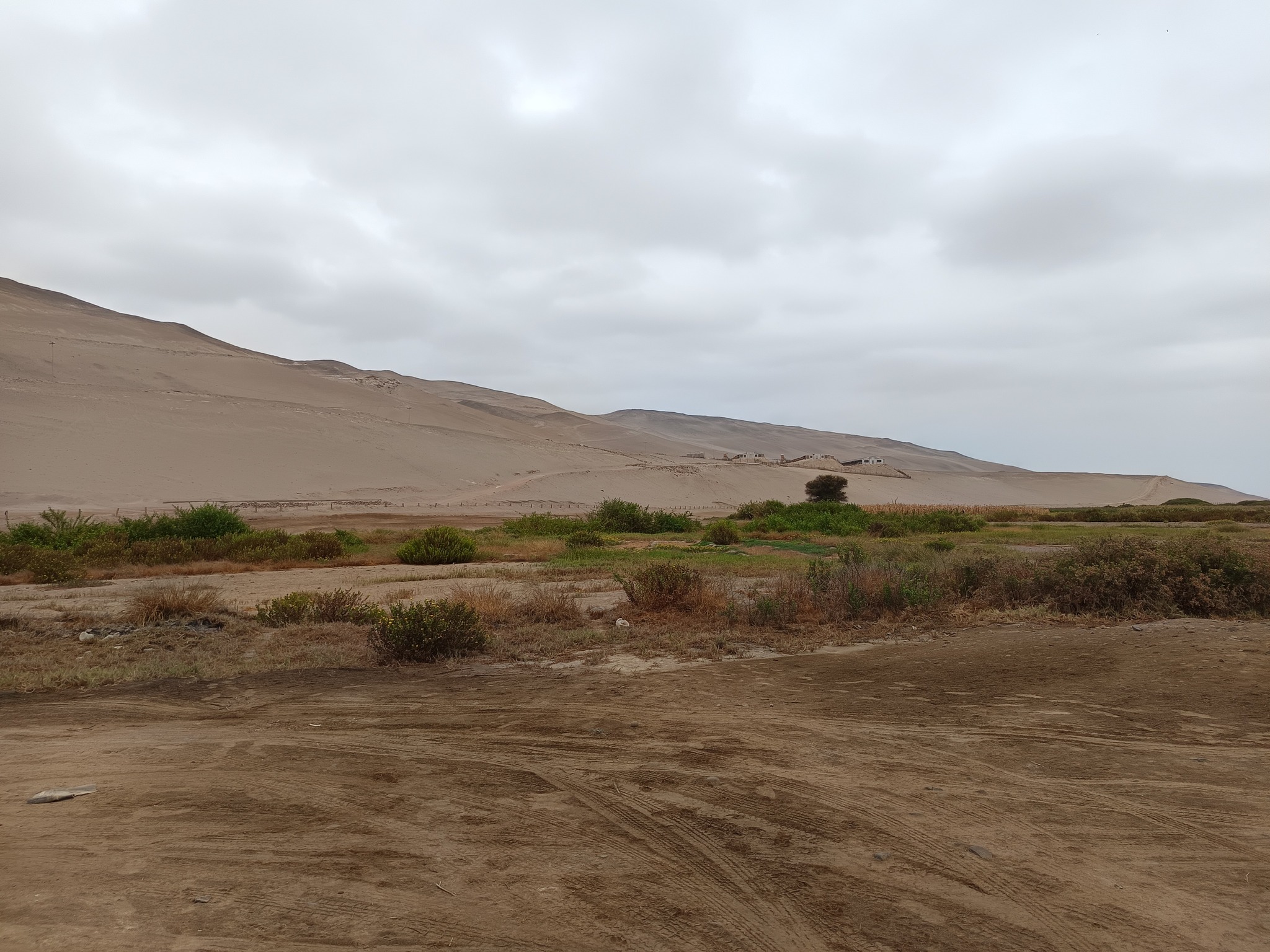 572387484_1335567285028287_2182102475504180390_n