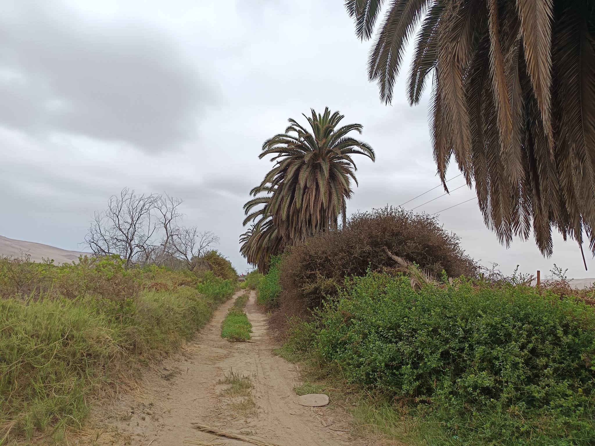 572887226_1335566681695014_1073121056386429999_n