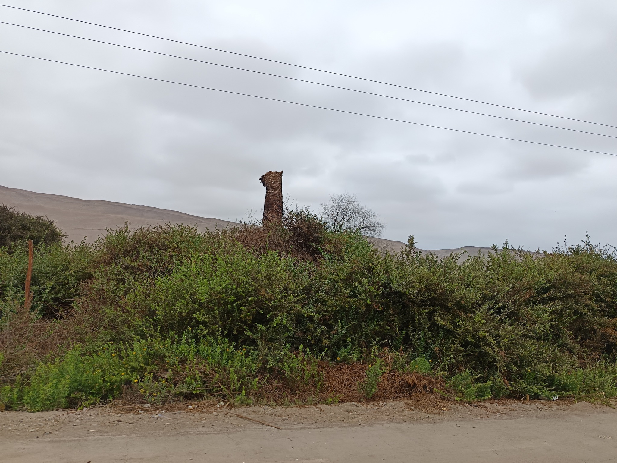 574050996_1335566235028392_8188351283536282761_n